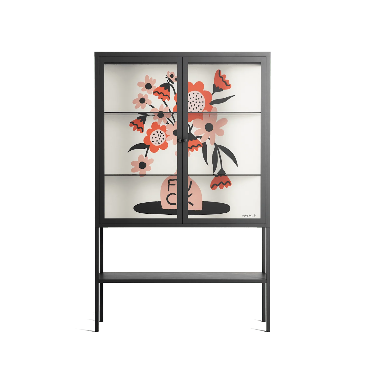 Fuck - Loft Cabinet - Aley Wild - Antracite - Clear glass