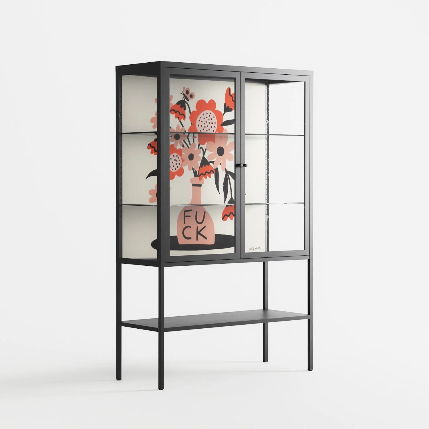 Fuck - Loft Cabinet - Aley Wild - Antracite - Clear glass - Image 4