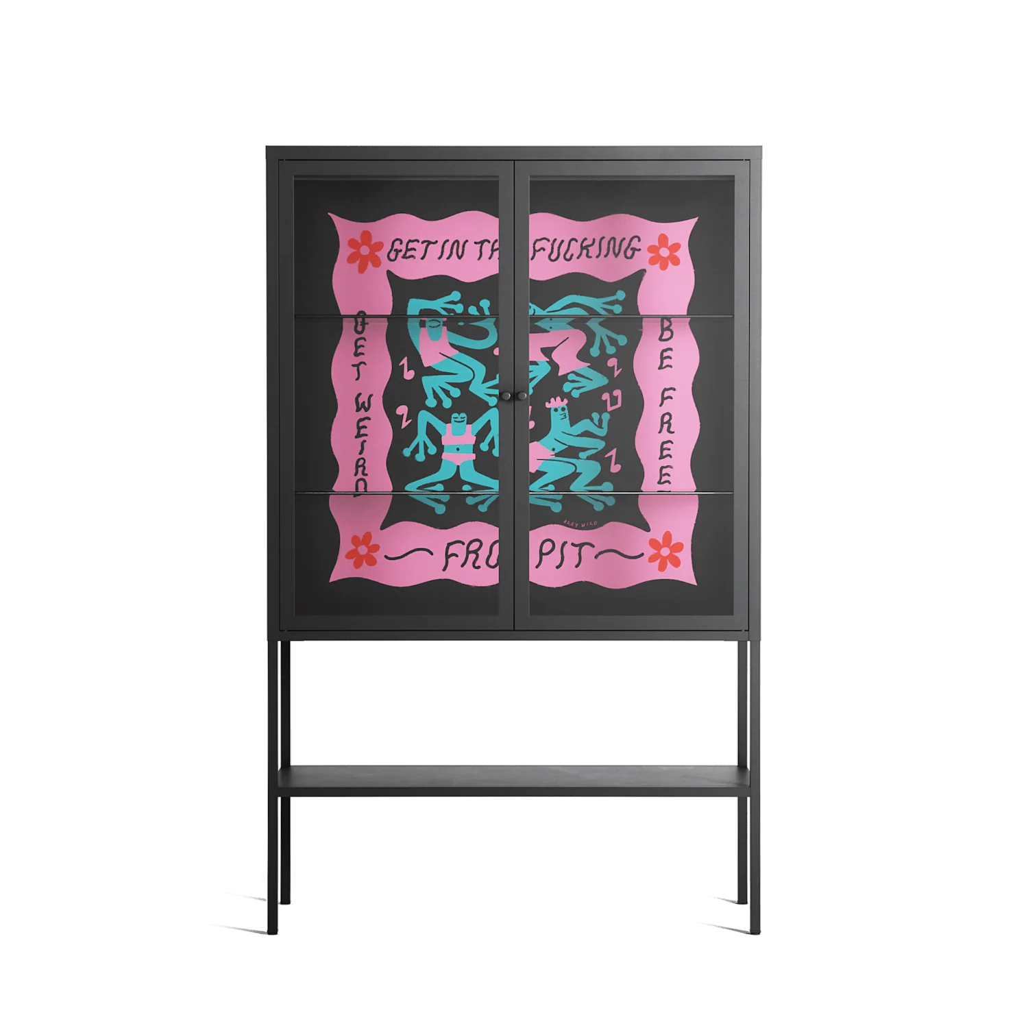 Get In The Fucking Frog Pit - Loft Cabinet - Aley Wild - Antracite - Clear glass