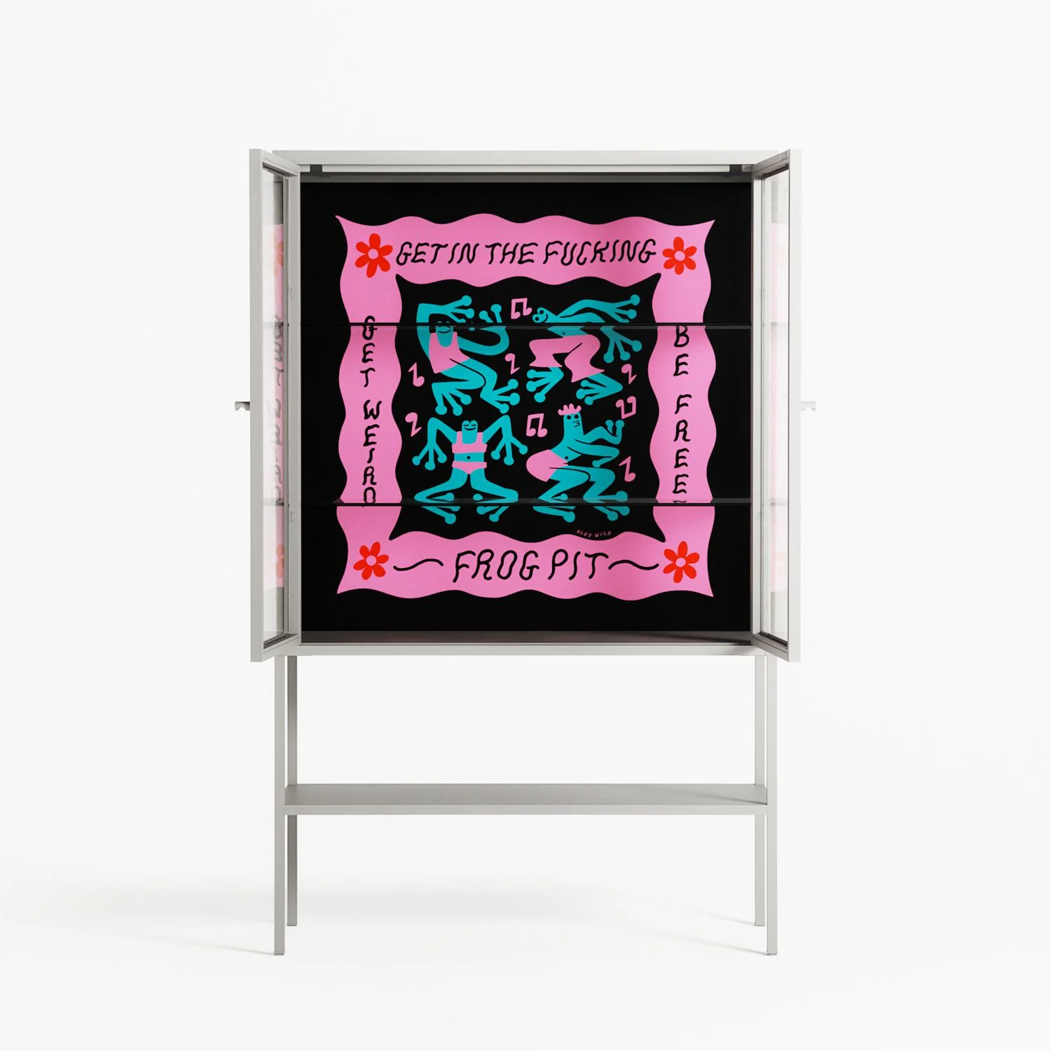 Get In The Fucking Frog Pit - Loft Cabinet - Aley Wild - Chalk - Clear glass - Image 3