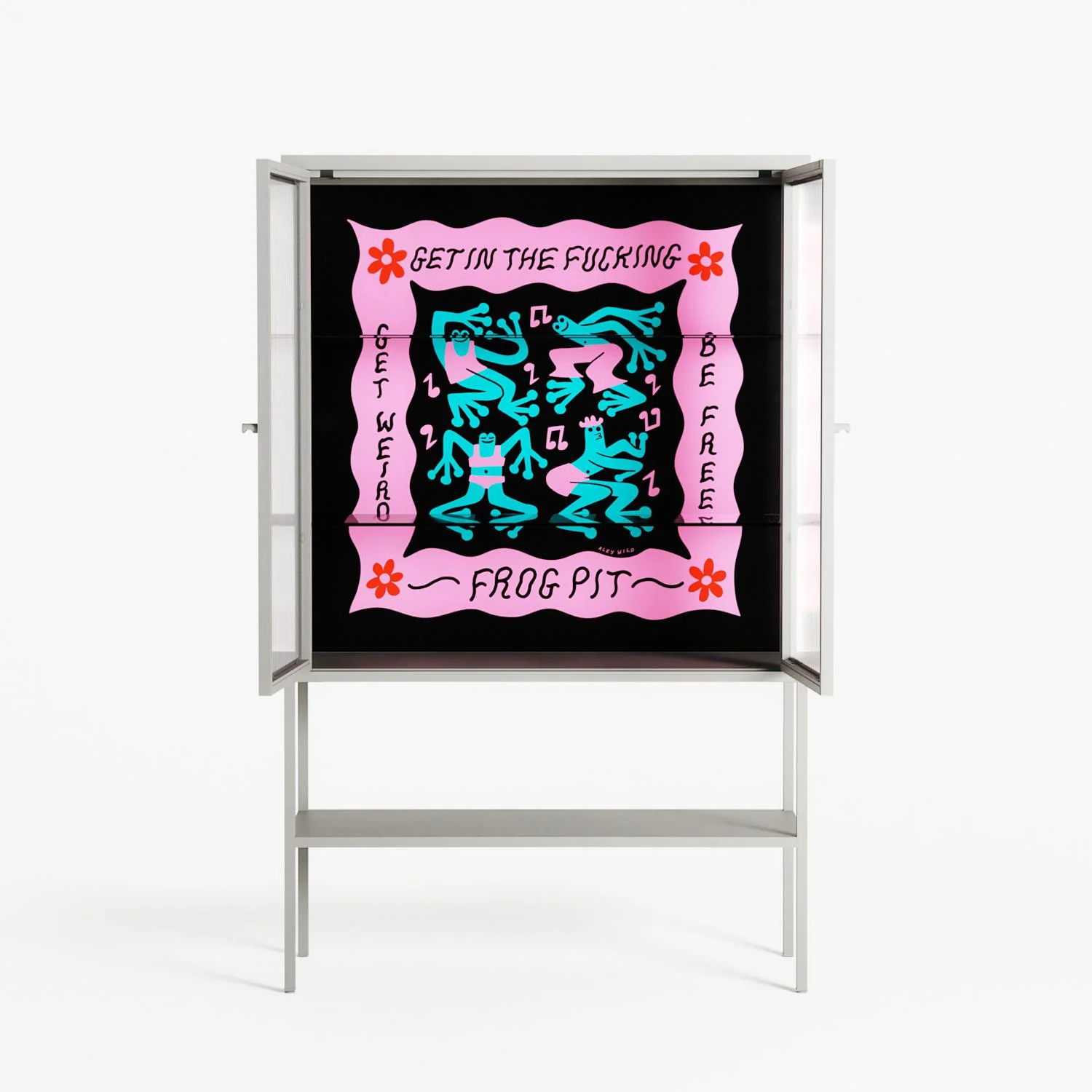 Get In The Fucking Frog Pit - Loft Cabinet - Aley Wild - Chalk - Reeded glass - Image 3