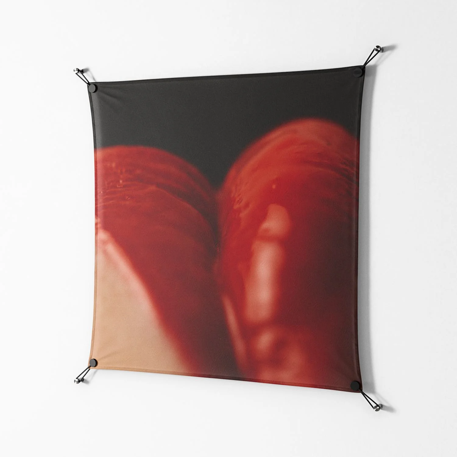 Red 3 - Work On Wall - Nadia Ryder - Black - 90 x 90 cm - Image 2