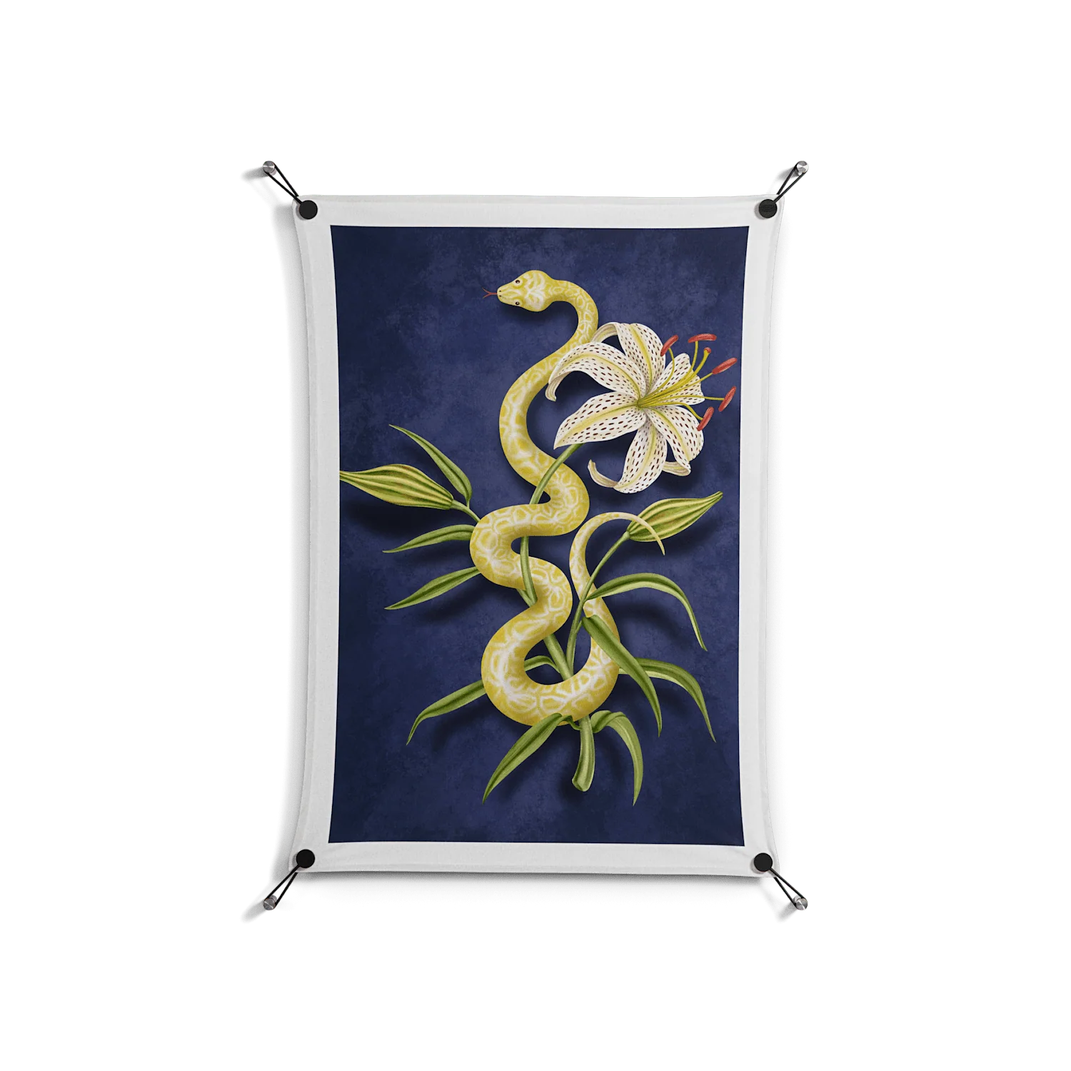 Snake Tigerlily - Work On Wall - Amy Suther - Black - 70 x 100 cm