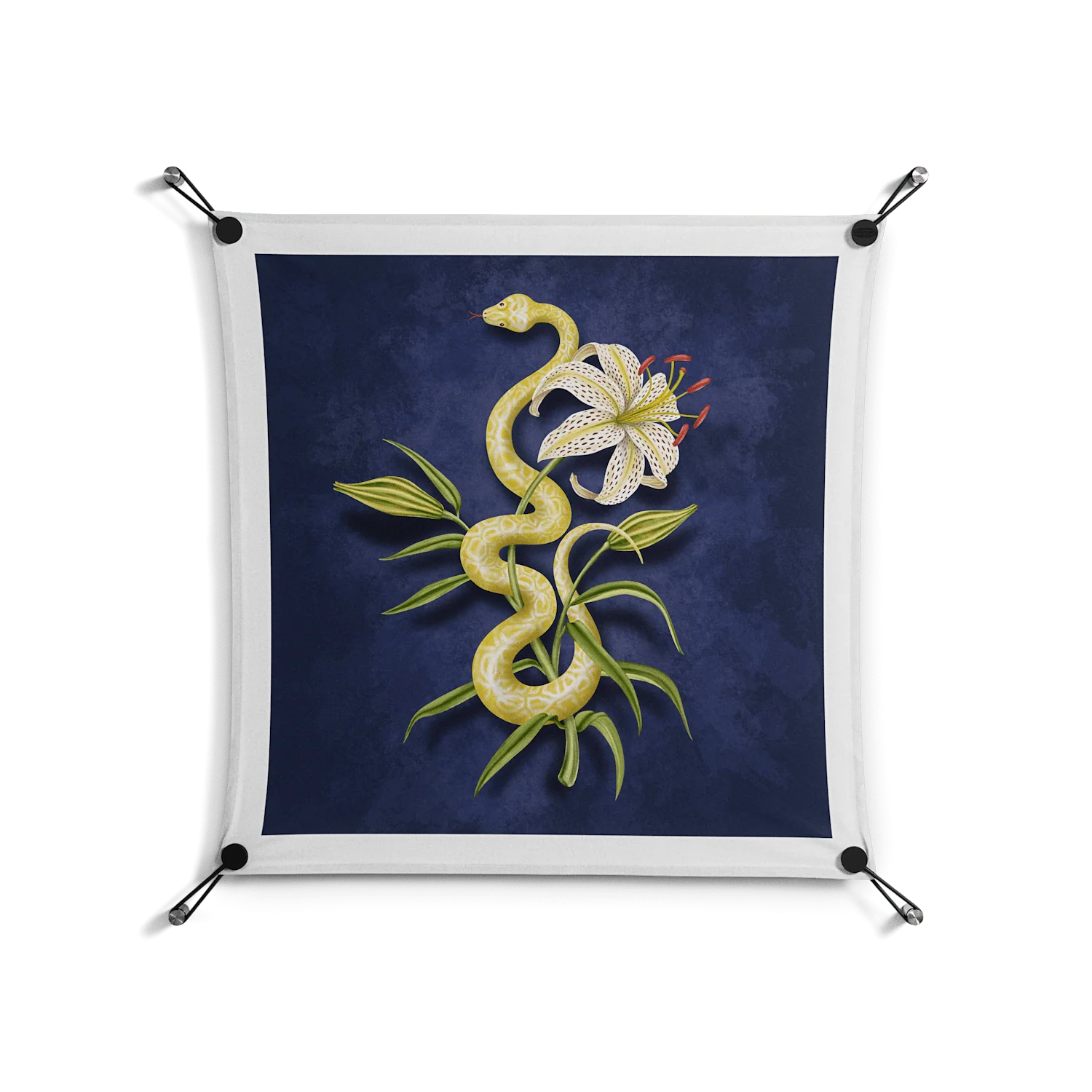 Snake Tigerlily - Work On Wall - Amy Suther - Black - 70 x 70 cm