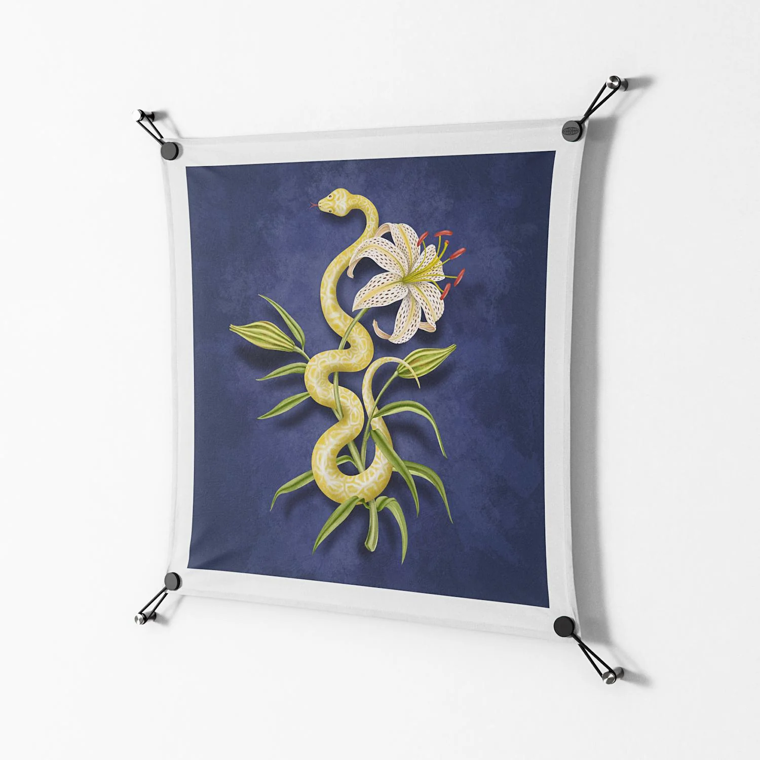 Snake Tigerlily - Work On Wall - Amy Suther - Black - 70 x 70 cm - Image 2