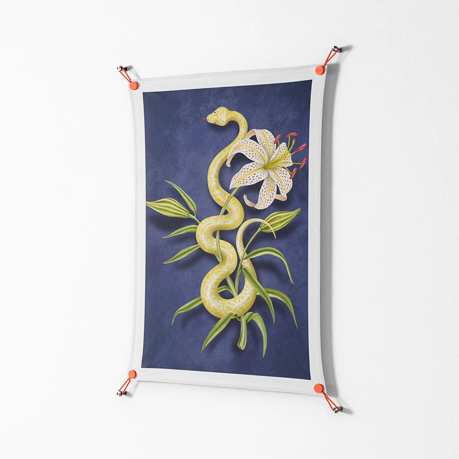 Snake Tigerlily - Work On Wall - Amy Suther - Orange - 70 x 100 cm - Image 2