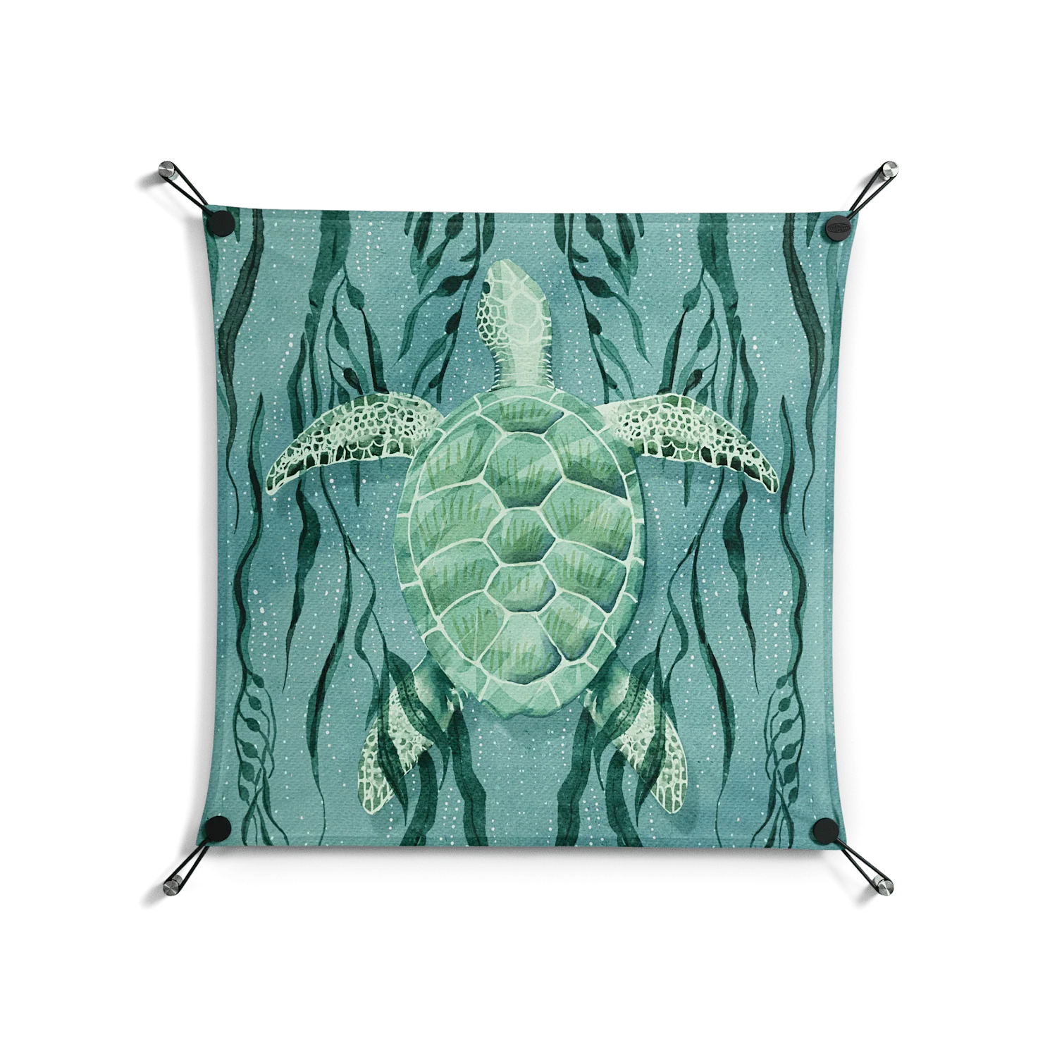 Turtle With Kelp - Work On Wall - Katie O’Shea - Black - 70 x 70 cm