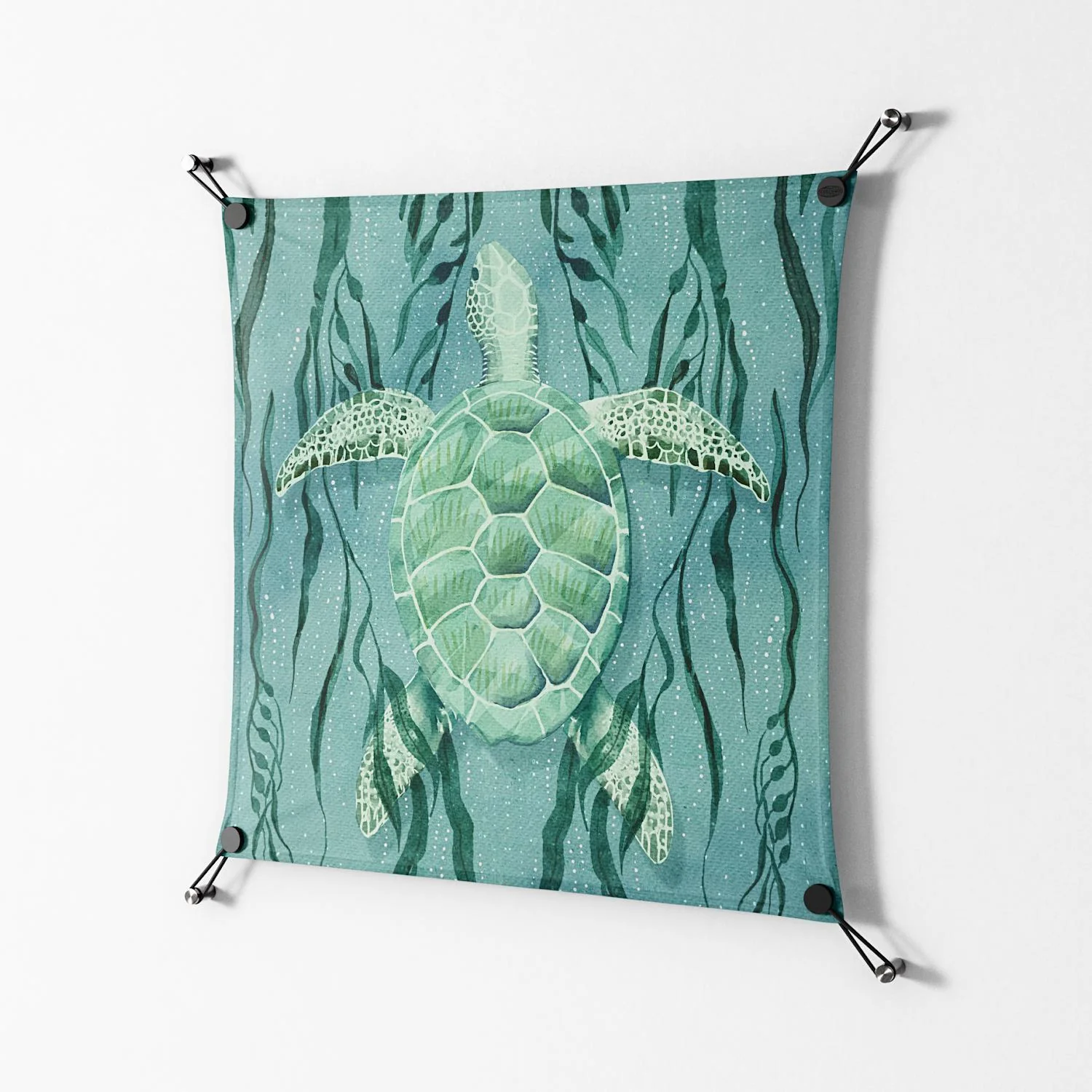 Turtle With Kelp - Work On Wall - Katie O’Shea - Black - 70 x 70 cm - Image 2