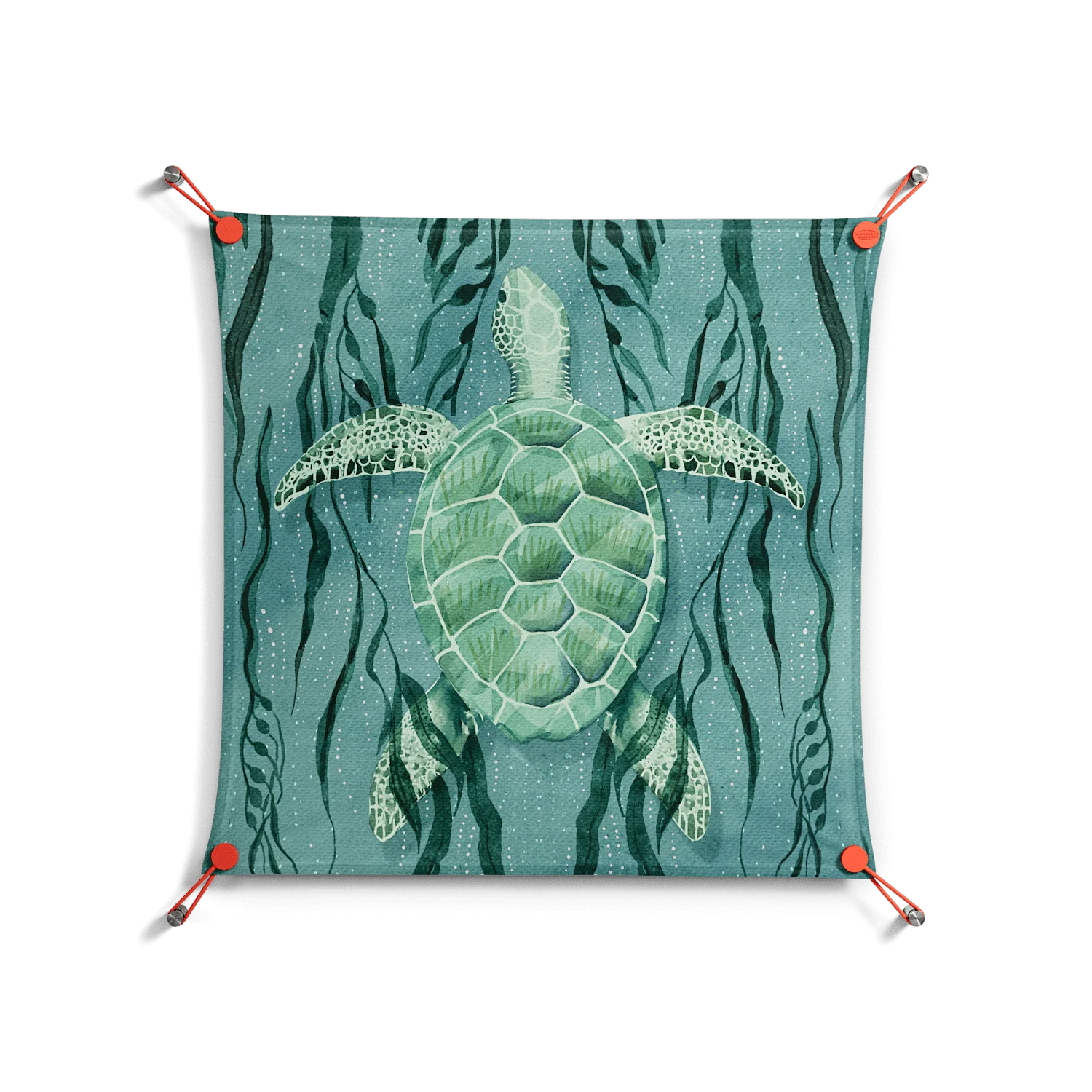 Turtle With Kelp - Work On Wall - Katie O’Shea - Orange - 70 x 70 cm
