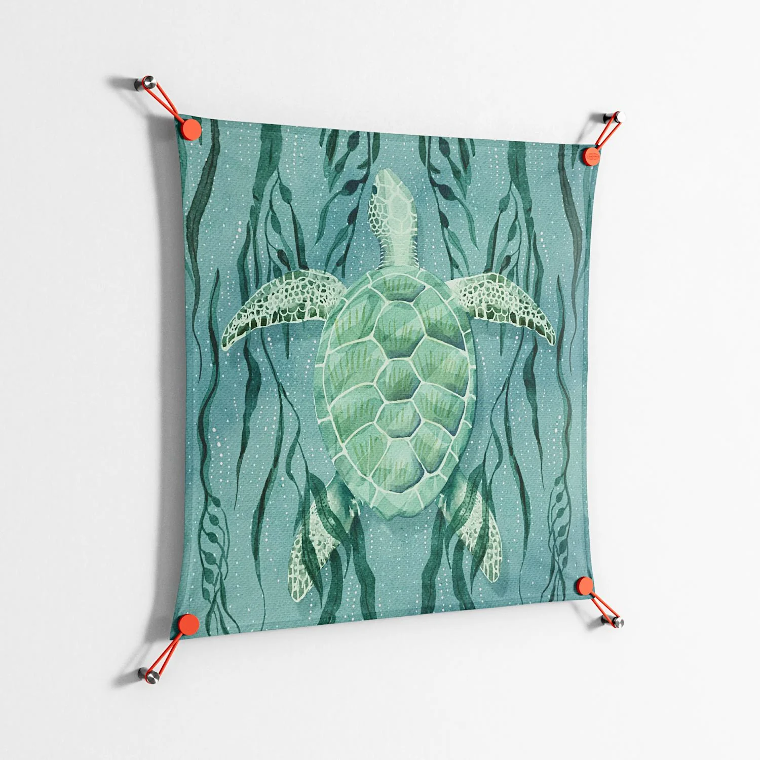 Turtle With Kelp - Work On Wall - Katie O’Shea - Orange - 70 x 70 cm - Image 2