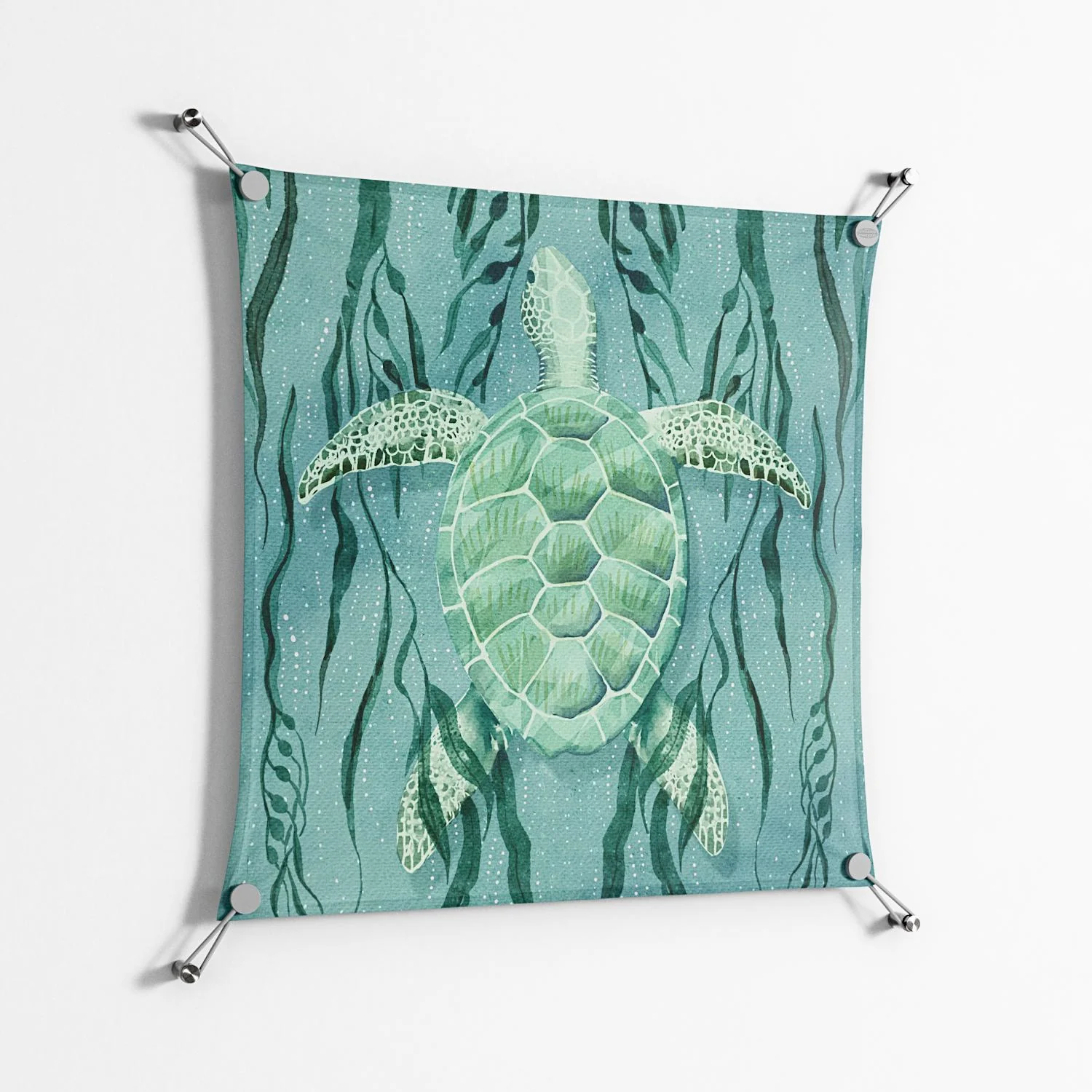 Turtle With Kelp - Work On Wall - Katie O’Shea - Silver - 70 x 70 cm - Image 2