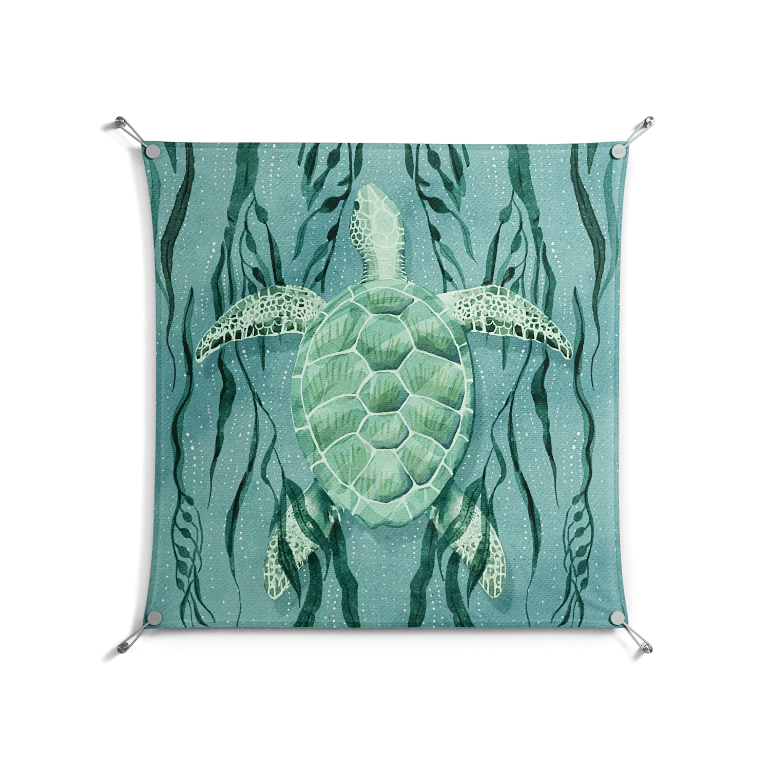 Turtle With Kelp - Work On Wall - Katie O’Shea - Silver - 90 x 90 cm