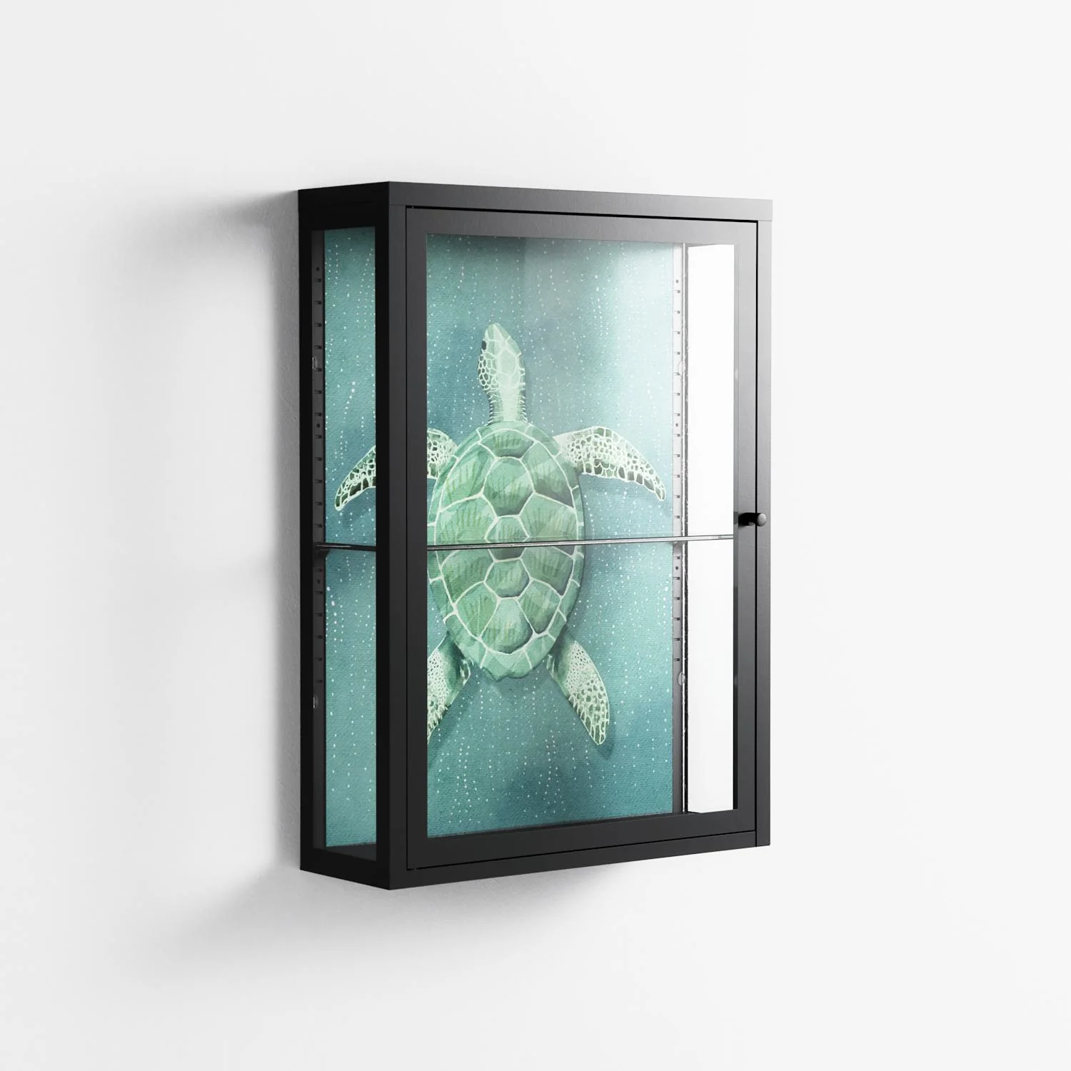 Turtle Without Kelp - Wall Cabinet - Katie O’Shea - Antracite - Clear glass - Image 4